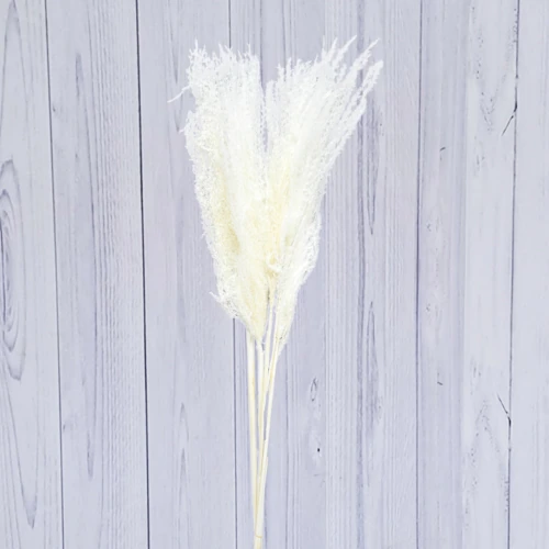 Silver Grass – per bunch